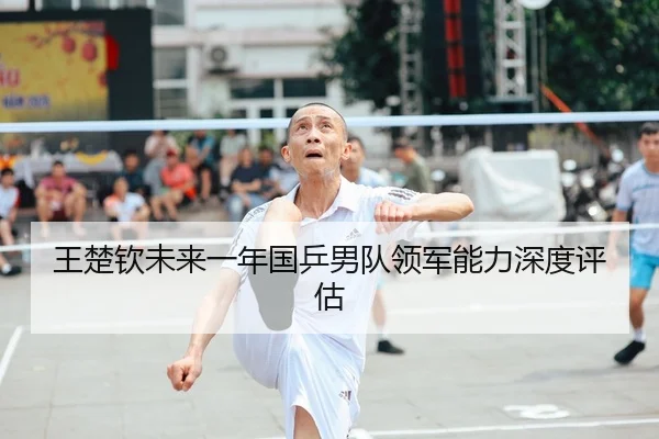 王楚钦未来一年国乒男队领军能力深度评估 - huatihui
